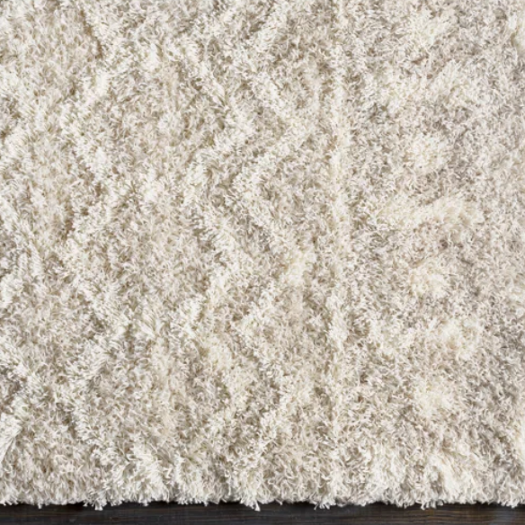 Contemporary Geometric Area Rug – Striking Design, Durable Construction, and Timeless Charm for Your Home