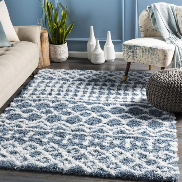Soft Cozy Woven Shag Bohemian Tribal Area Rug