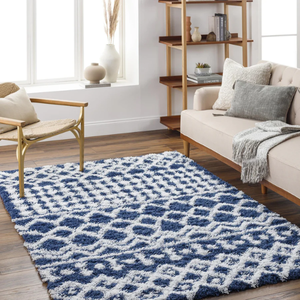 Soft Cozy Woven Shag Bohemian Tribal Area Rug