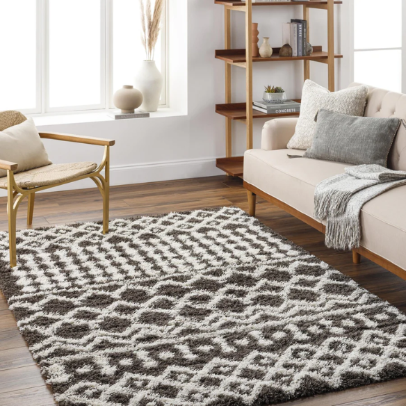 Soft Cozy Woven Shag Bohemian Tribal Area Rug