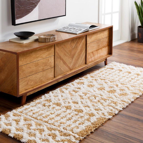 Soft Cozy Woven Shag Bohemian Tribal Area Rug