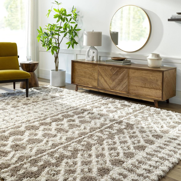 Soft Cozy Woven Shag Bohemian Tribal Area Rug