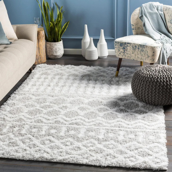 Soft Cozy Woven Shag Bohemian Tribal Area Rug