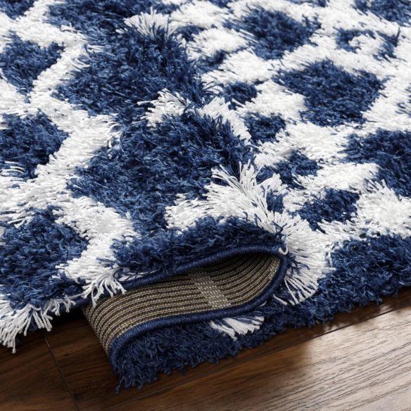 Soft Cozy Woven Shag Bohemian Tribal Area Rug