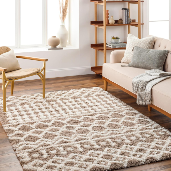 Soft Cozy Woven Shag Bohemian Tribal Area Rug