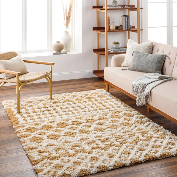 Soft Cozy Woven Shag Bohemian Tribal Area Rug