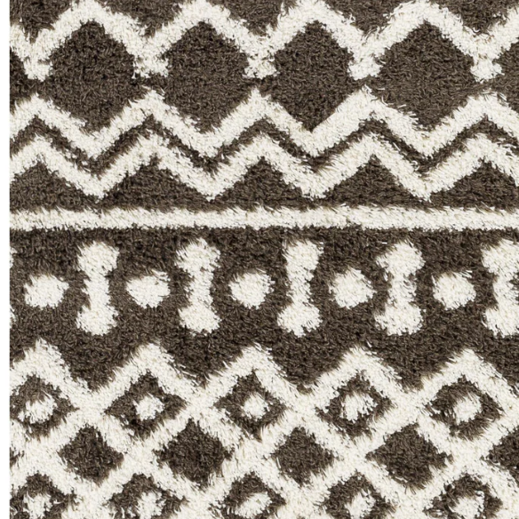 Soft Cozy Woven Shag Bohemian Tribal Area Rug
