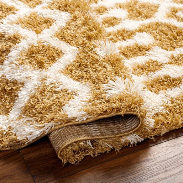 Soft Cozy Woven Shag Bohemian Tribal Area Rug