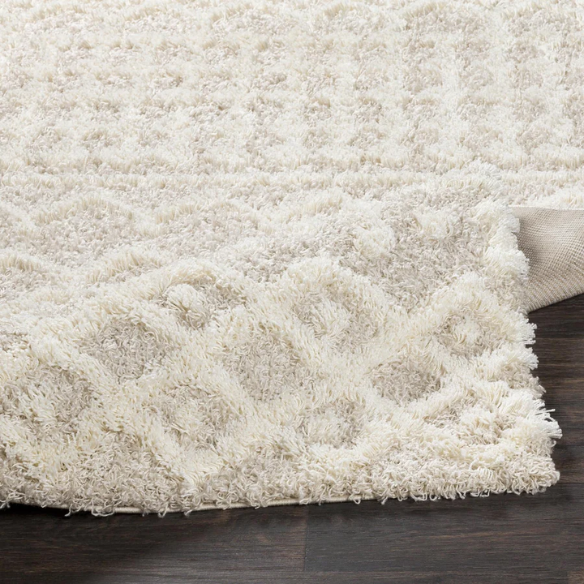 Soft Cozy Woven Shag Bohemian Tribal Area Rug