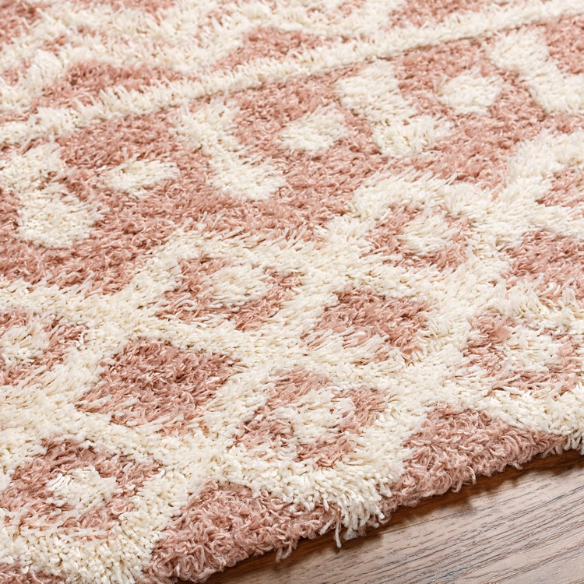 Soft Cozy Woven Shag Bohemian Tribal Area Rug