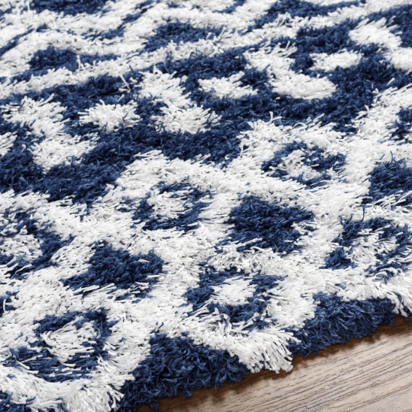 Soft Cozy Woven Shag Bohemian Tribal Area Rug