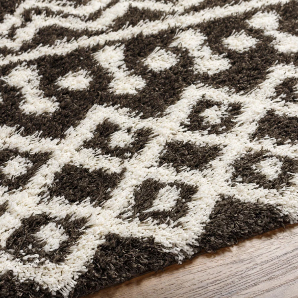 Soft Cozy Woven Shag Bohemian Tribal Area Rug