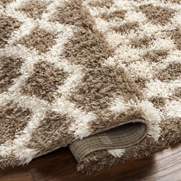 Soft Cozy Woven Shag Bohemian Tribal Area Rug