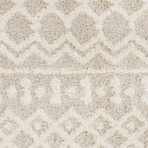 Soft Cozy Woven Shag Bohemian Tribal Area Rug