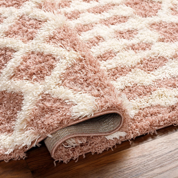 Soft Cozy Woven Shag Bohemian Tribal Area Rug