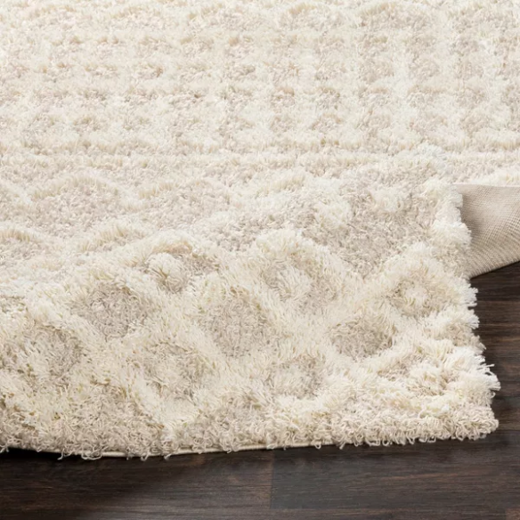 Soft Cozy Woven Shag Bohemian Tribal Area Rug