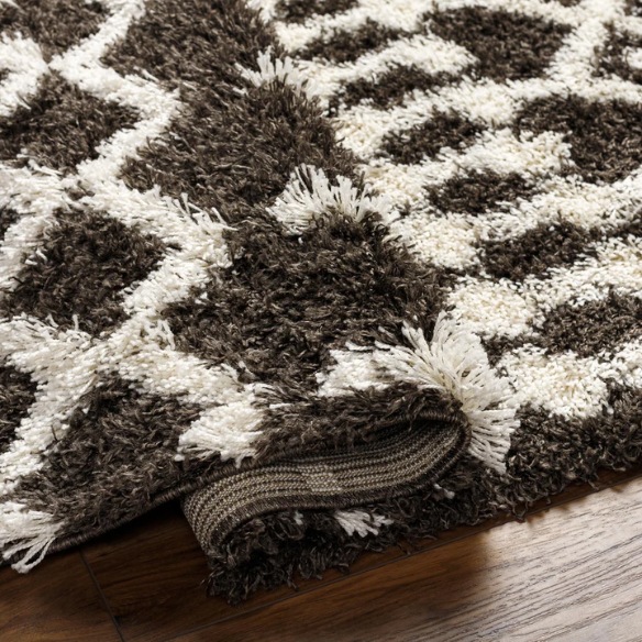 Soft Cozy Woven Shag Bohemian Tribal Area Rug