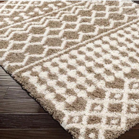 Soft Cozy Woven Shag Bohemian Tribal Area Rug