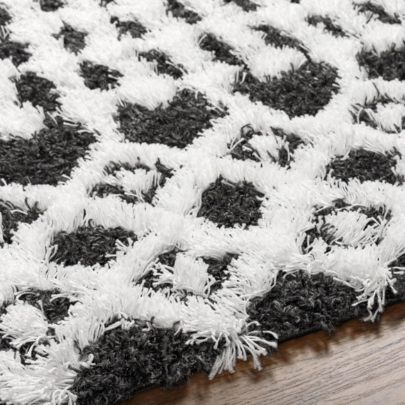 Soft Cozy Woven Shag Bohemian Tribal Area Rug