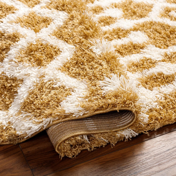 Soft Cozy Woven Shag Bohemian Tribal Area Rug