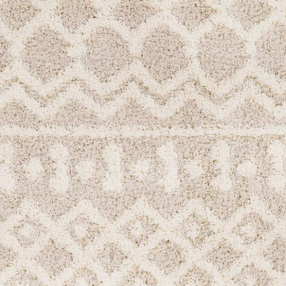 Soft Cozy Woven Shag Bohemian Tribal Area Rug