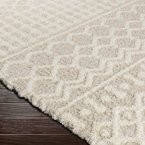 Soft Cozy Woven Shag Bohemian Tribal Area Rug