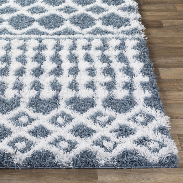 Soft Cozy Woven Shag Bohemian Tribal Area Rug
