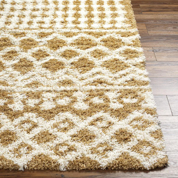 Soft Cozy Woven Shag Bohemian Tribal Area Rug