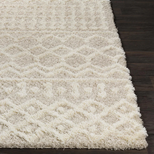Soft Cozy Woven Shag Bohemian Tribal Area Rug