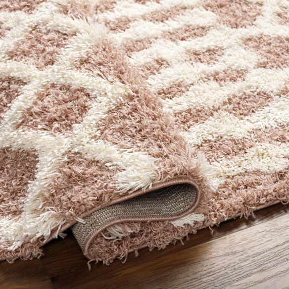 Soft Cozy Woven Shag Bohemian Tribal Area Rug