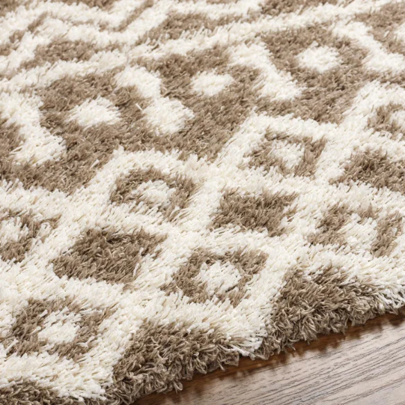 Soft Cozy Woven Shag Bohemian Tribal Area Rug