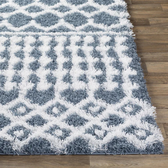 Soft Cozy Woven Shag Bohemian Tribal Area Rug