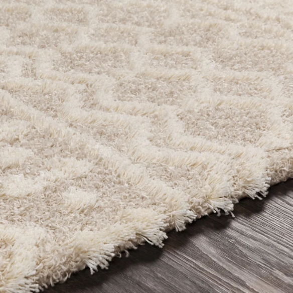 Contemporary Geometric Area Rug – Striking Design, Durable Construction, and Timeless Charm for Your Home