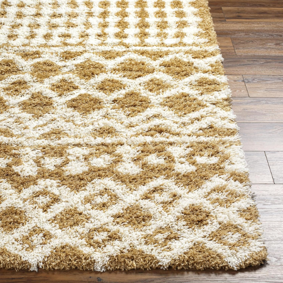Soft Cozy Woven Shag Bohemian Tribal Area Rug