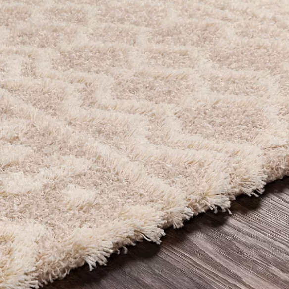 Soft Cozy Woven Shag Bohemian Tribal Area Rug