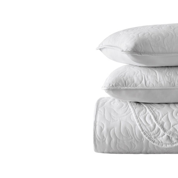 Elegant Floral Stitching Quilt Set – Ultra-Soft, Hypoallergenic, and Machine Washable Bedding for All Seasons