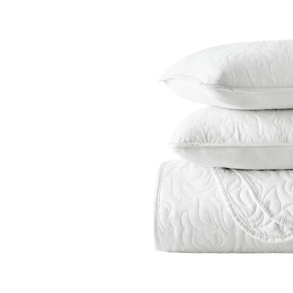Elegant Floral Stitching Quilt Set – Ultra-Soft, Hypoallergenic, and Machine Washable Bedding for All Seasons