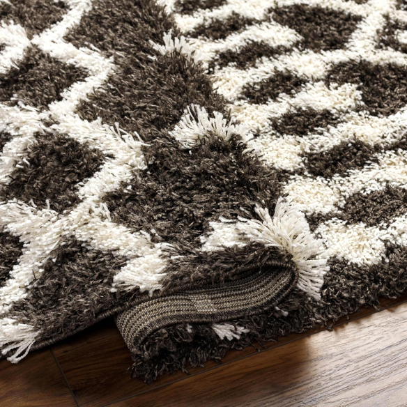 Soft Cozy Woven Shag Bohemian Tribal Area Rug