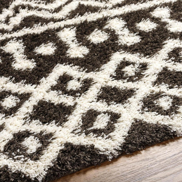 Soft Cozy Woven Shag Bohemian Tribal Area Rug