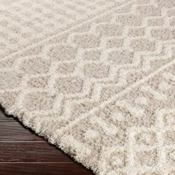 Soft Cozy Woven Shag Bohemian Tribal Area Rug