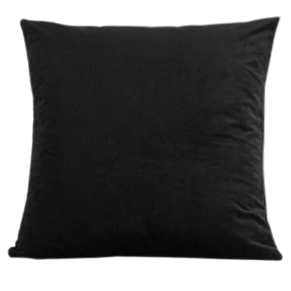 Set of two black square throw pillows with piped edges and hidden zipper, ideal for modern, transitional, or minimalist home décor