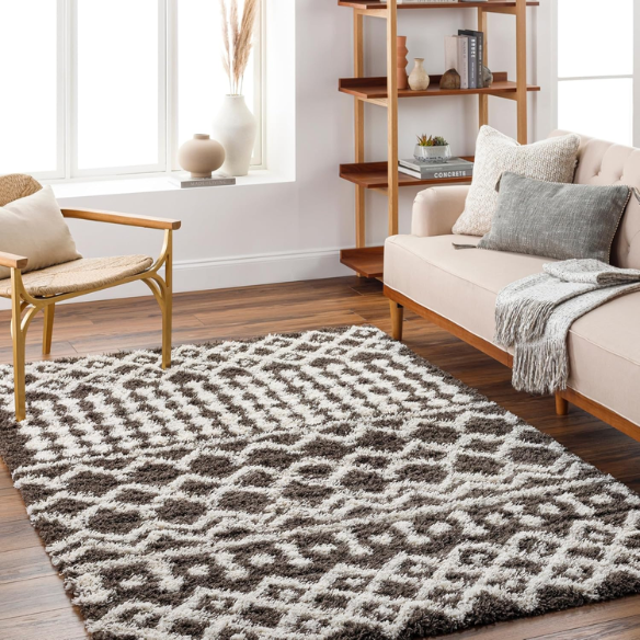Soft Cozy Woven Shag Bohemian Tribal Area Rug