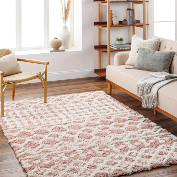 Soft Cozy Woven Shag Bohemian Tribal Area Rug