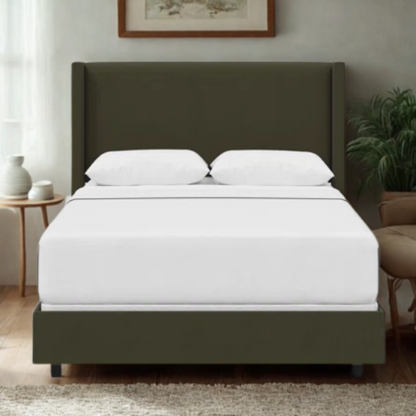 Cozy and Sleek Modern Queen Size Upholstered Wingback Bed
