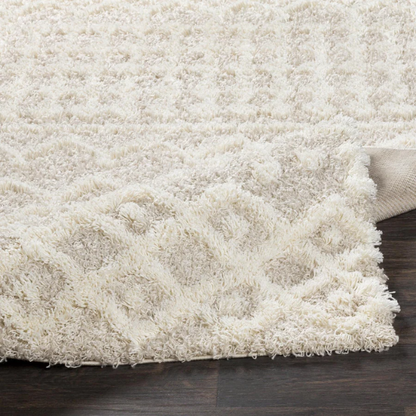 Soft Cozy Woven Shag Bohemian Tribal Area Rug