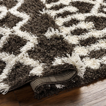 Soft Cozy Woven Shag Bohemian Tribal Area Rug