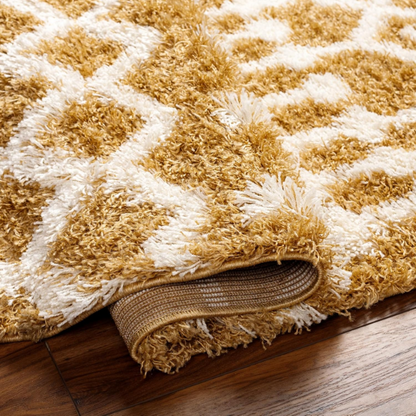 Soft Cozy Woven Shag Bohemian Tribal Area Rug