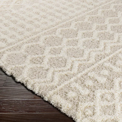 Soft Cozy Woven Shag Bohemian Tribal Area Rug