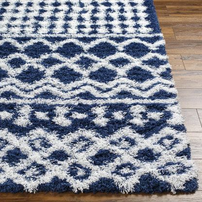 Soft Cozy Woven Shag Bohemian Tribal Area Rug