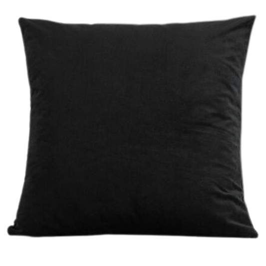 Set of two black square throw pillows with piped edges and hidden zipper, ideal for modern, transitional, or minimalist home décor


